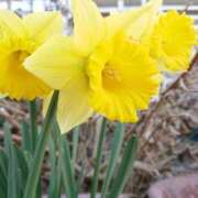 ヒメ日記 2025/12/14 18:00 投稿 辻レイナ クラブ華