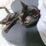 ヒメ日記 2025/12/16 17:00 投稿 辻レイナ クラブ華