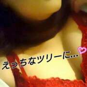 ヒメ日記 2025/12/17 12:00 投稿 辻レイナ クラブ華