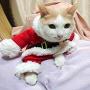 ヒメ日記 2025/12/22 17:00 投稿 辻レイナ クラブ華