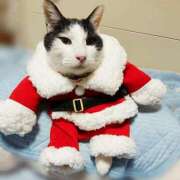 ヒメ日記 2025/12/24 17:00 投稿 辻レイナ クラブ華