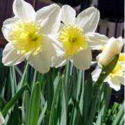 ヒメ日記 2025/12/24 18:00 投稿 辻レイナ クラブ華