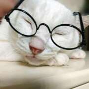 ヒメ日記 2025/12/27 17:00 投稿 辻レイナ クラブ華