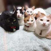 ヒメ日記 2025/12/28 17:00 投稿 辻レイナ クラブ華