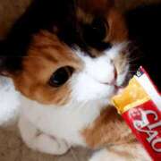 ヒメ日記 2025/12/29 17:00 投稿 辻レイナ クラブ華