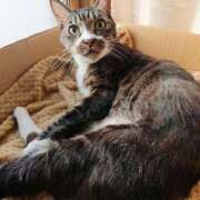 ヒメ日記 2025/12/30 17:00 投稿 辻レイナ クラブ華