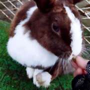 ヒメ日記 2026/01/04 15:00 投稿 辻レイナ クラブ華