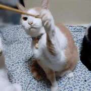 ヒメ日記 2026/01/04 17:00 投稿 辻レイナ クラブ華