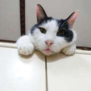 ヒメ日記 2026/01/05 17:00 投稿 辻レイナ クラブ華