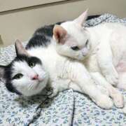 ヒメ日記 2026/01/06 18:30 投稿 辻レイナ クラブ華