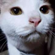 ヒメ日記 2026/01/07 18:00 投稿 辻レイナ クラブ華