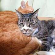 ヒメ日記 2026/01/09 17:00 投稿 辻レイナ クラブ華