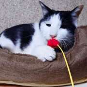 ヒメ日記 2026/01/26 17:00 投稿 辻レイナ クラブ華