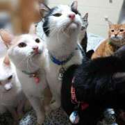 ヒメ日記 2026/01/28 17:00 投稿 辻レイナ クラブ華