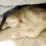 ヒメ日記 2026/02/01 17:00 投稿 辻レイナ クラブ華