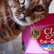 ヒメ日記 2026/02/05 17:00 投稿 辻レイナ クラブ華