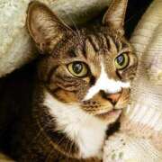 ヒメ日記 2026/02/07 17:00 投稿 辻レイナ クラブ華