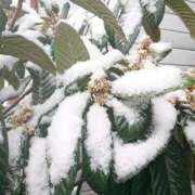 ヒメ日記 2026/02/08 10:33 投稿 辻レイナ クラブ華