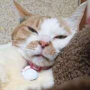 ヒメ日記 2026/02/10 17:00 投稿 辻レイナ クラブ華