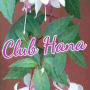 ヒメ日記 2026/02/11 18:00 投稿 辻レイナ クラブ華