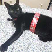 ヒメ日記 2026/02/12 17:00 投稿 辻レイナ クラブ華