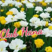 ヒメ日記 2026/02/12 18:00 投稿 辻レイナ クラブ華