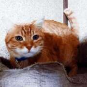 ヒメ日記 2026/02/14 17:00 投稿 辻レイナ クラブ華