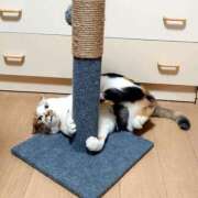 ヒメ日記 2026/02/17 17:00 投稿 辻レイナ クラブ華