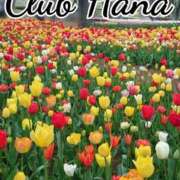 ヒメ日記 2026/02/17 18:01 投稿 辻レイナ クラブ華