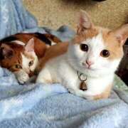 ヒメ日記 2026/02/18 17:00 投稿 辻レイナ クラブ華