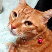 ヒメ日記 2026/02/19 17:30 投稿 辻レイナ クラブ華