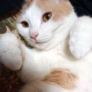 ヒメ日記 2026/02/20 17:00 投稿 辻レイナ クラブ華