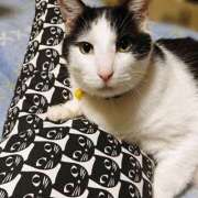 ヒメ日記 2026/02/21 17:30 投稿 辻レイナ クラブ華