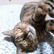 ヒメ日記 2026/02/22 17:30 投稿 辻レイナ クラブ華