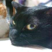 ヒメ日記 2026/02/23 17:30 投稿 辻レイナ クラブ華