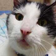 ヒメ日記 2026/02/24 17:30 投稿 辻レイナ クラブ華