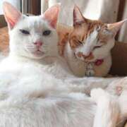 ヒメ日記 2026/02/25 17:30 投稿 辻レイナ クラブ華