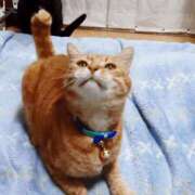 ヒメ日記 2026/02/26 17:30 投稿 辻レイナ クラブ華