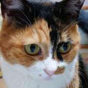 ヒメ日記 2026/02/27 17:30 投稿 辻レイナ クラブ華