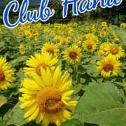 ヒメ日記 2026/02/27 18:00 投稿 辻レイナ クラブ華