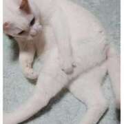 ヒメ日記 2026/02/28 17:30 投稿 辻レイナ クラブ華