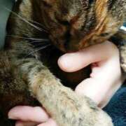 辻レイナ チェルシーちゃん クラブ華