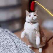 ヒメ日記 2026/03/08 17:30 投稿 辻レイナ クラブ華