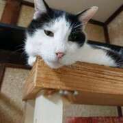 ヒメ日記 2026/03/12 17:30 投稿 辻レイナ クラブ華