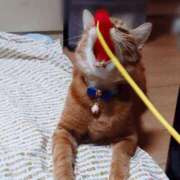 ヒメ日記 2026/03/13 17:30 投稿 辻レイナ クラブ華