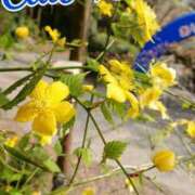 ヒメ日記 2026/03/14 18:00 投稿 辻レイナ クラブ華