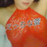 ヒメ日記 2026/03/15 12:00 投稿 辻レイナ クラブ華