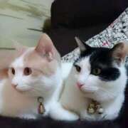 ヒメ日記 2026/03/16 17:30 投稿 辻レイナ クラブ華