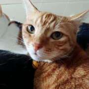 ヒメ日記 2026/03/18 17:30 投稿 辻レイナ クラブ華