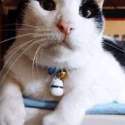 ヒメ日記 2026/03/23 17:30 投稿 辻レイナ クラブ華